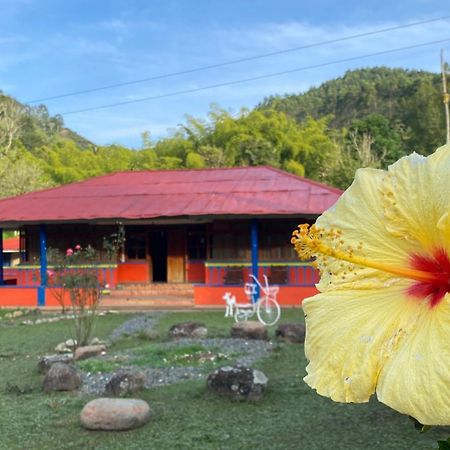 Brisas Del Rio Salento Konuk evi Dış mekan fotoğraf