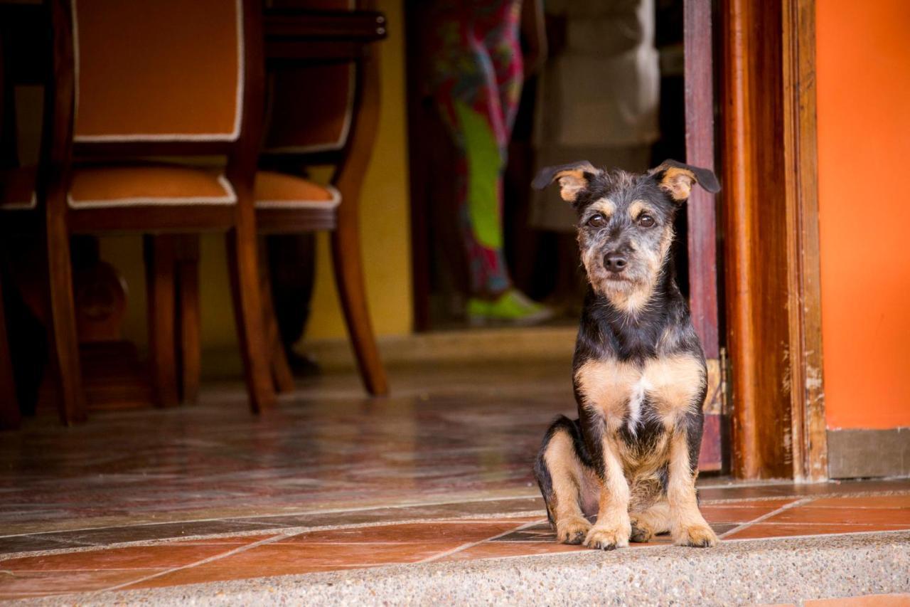 Brisas Del Rio Salento Konuk evi Dış mekan fotoğraf